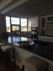 Kitchen Condo Renovation Case Design Remodeling Halifax