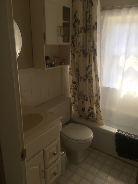 bathroom and kitchen renovation