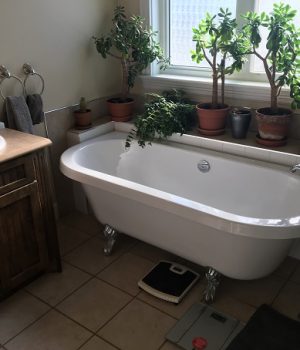 Case_MostOutstandingReno_Bathroom_BeforePhoto2